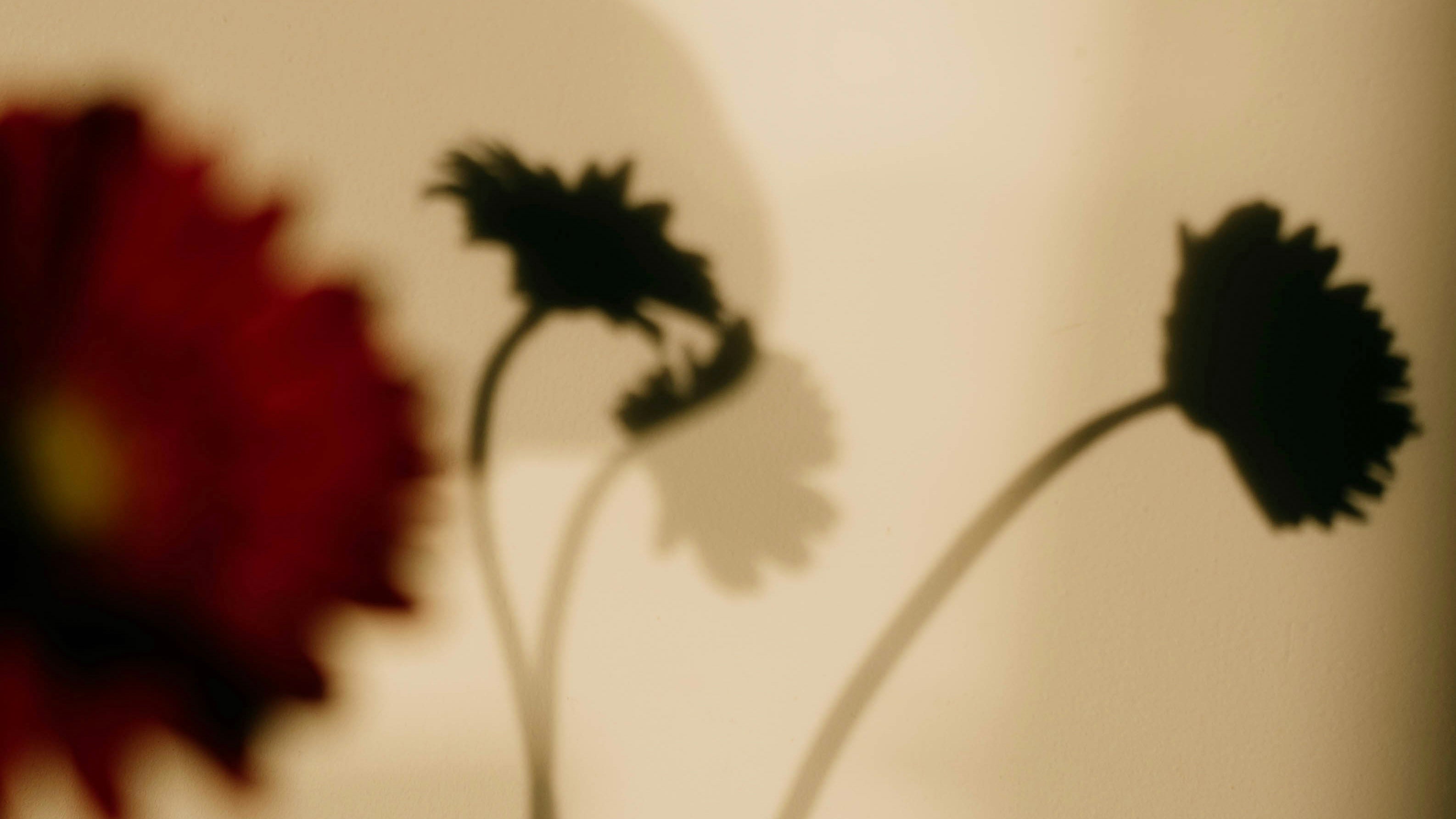 Les 10 habitudes des personnes calmes et organisées