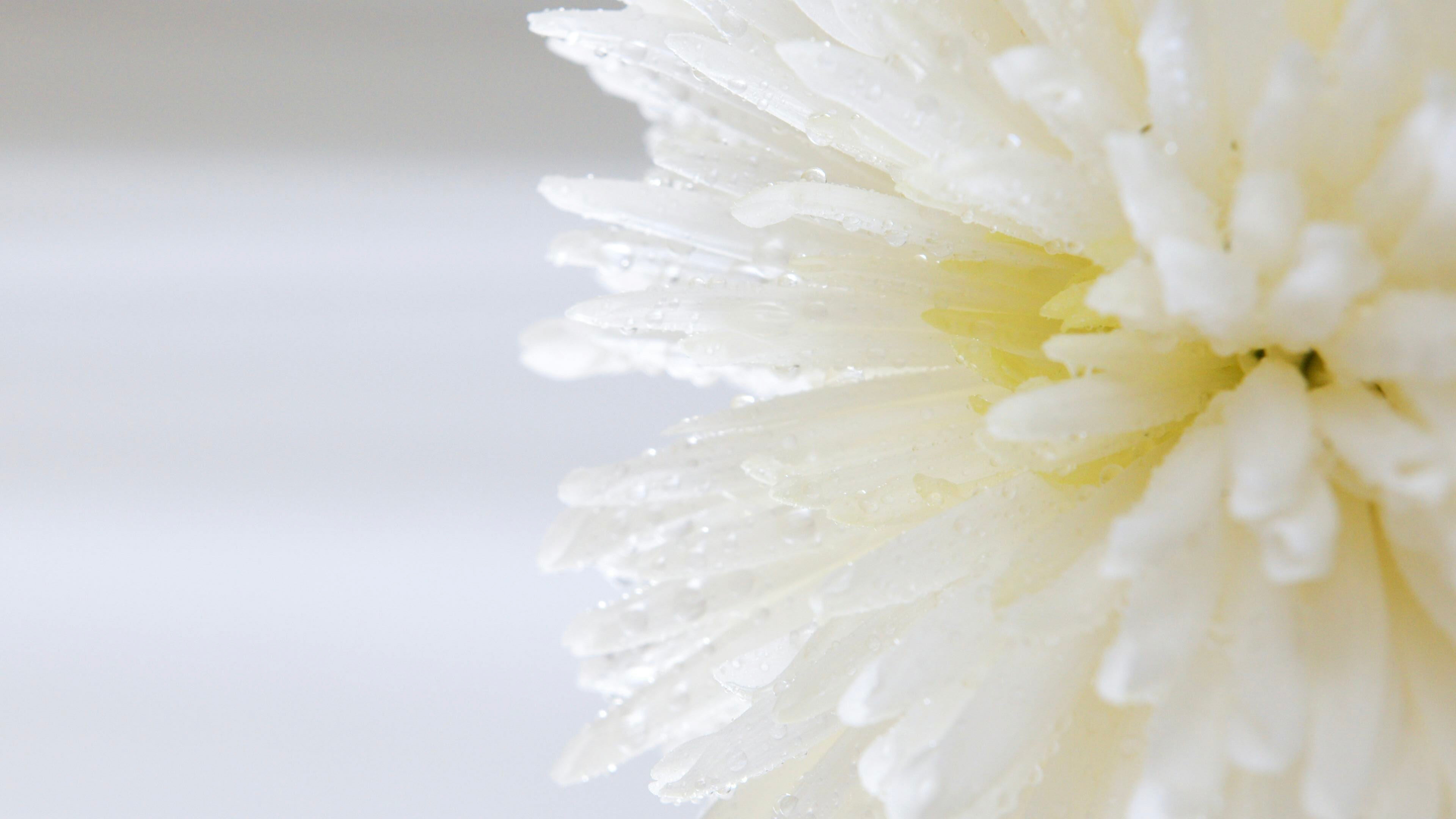 Micro-stress : ces petits facteurs quotidiens qui nous épuisent