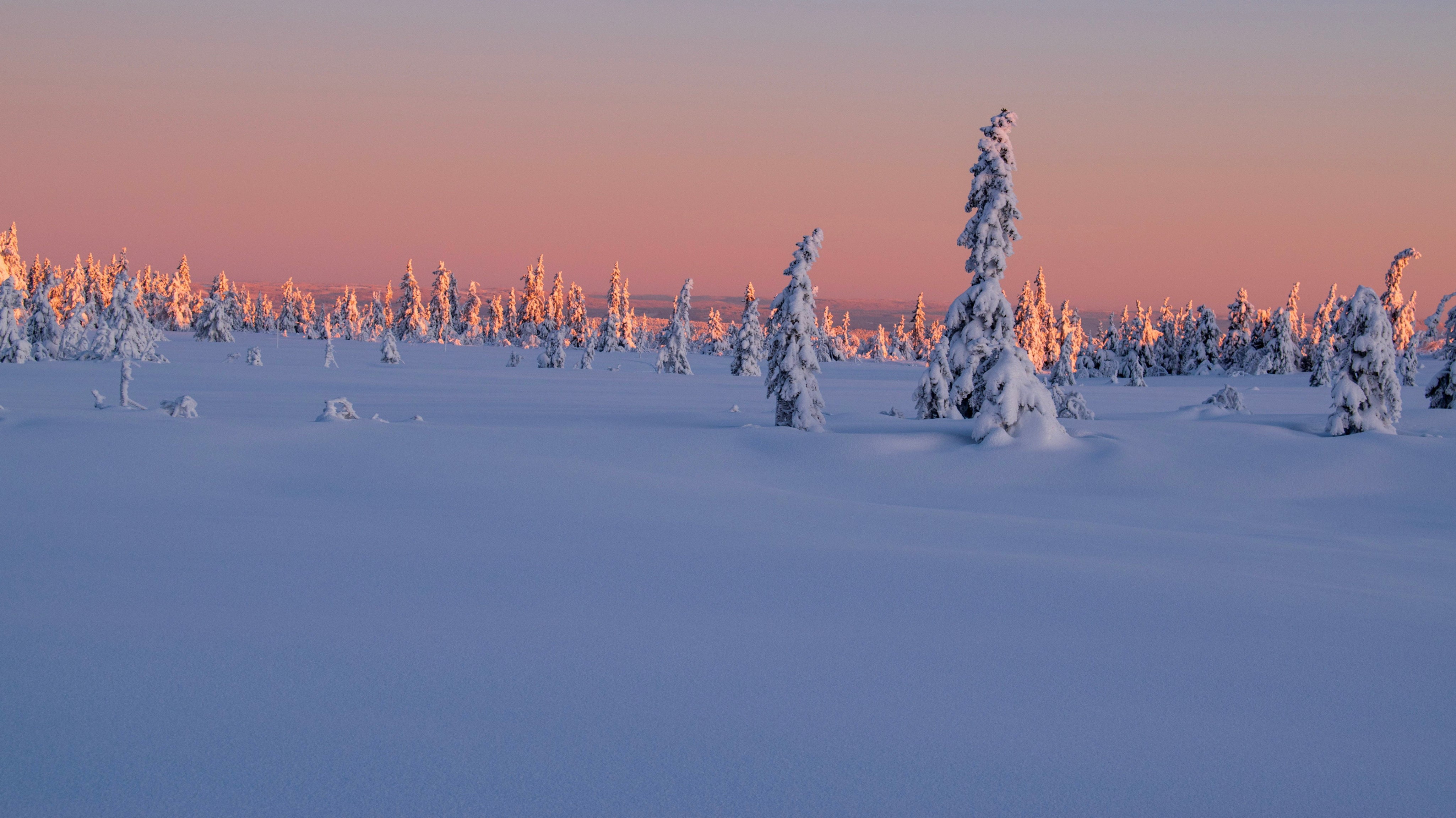 Et si on copiait les Finlandais pour réduire notre stress ?