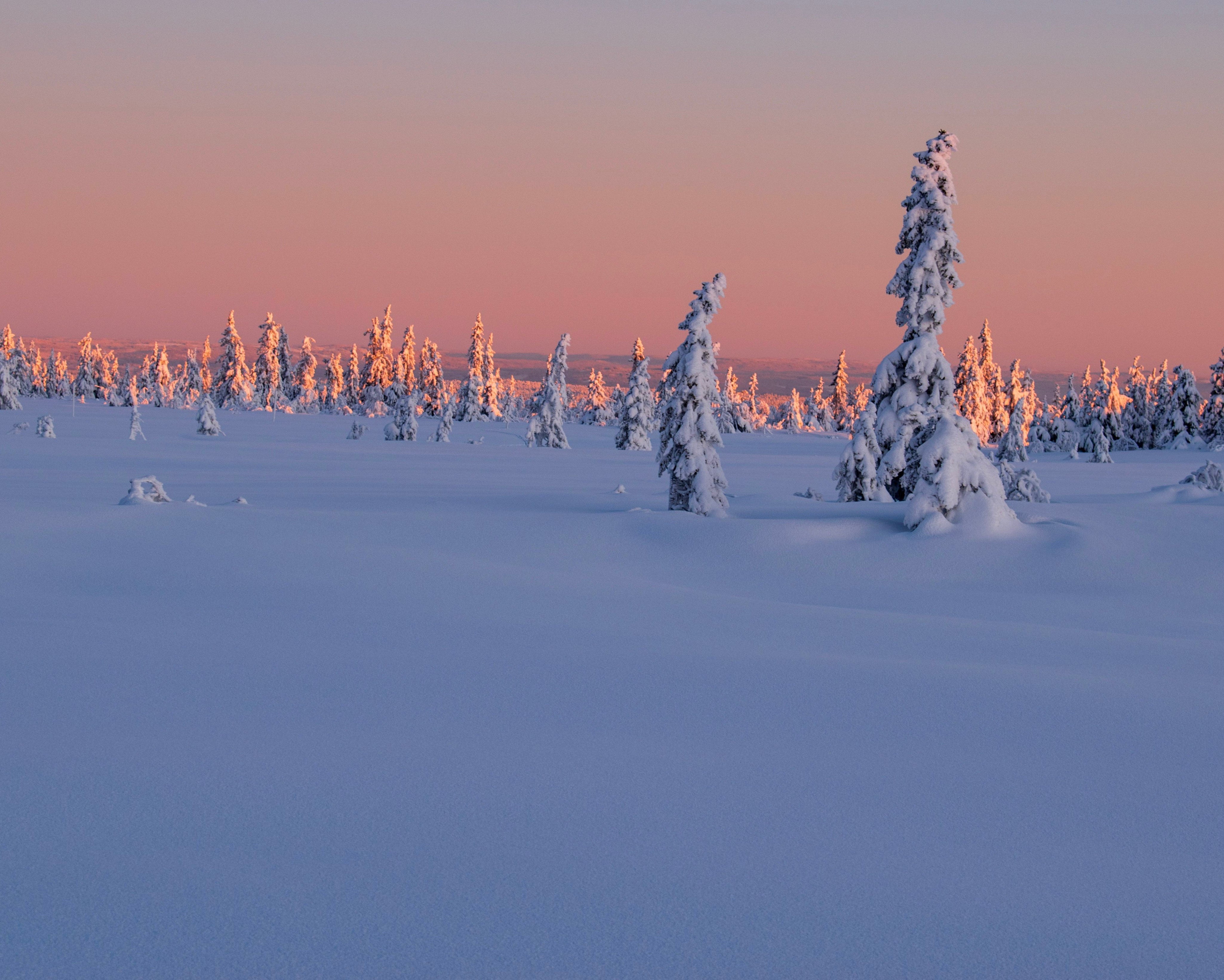 Et si on copiait les Finlandais pour réduire notre stress ?