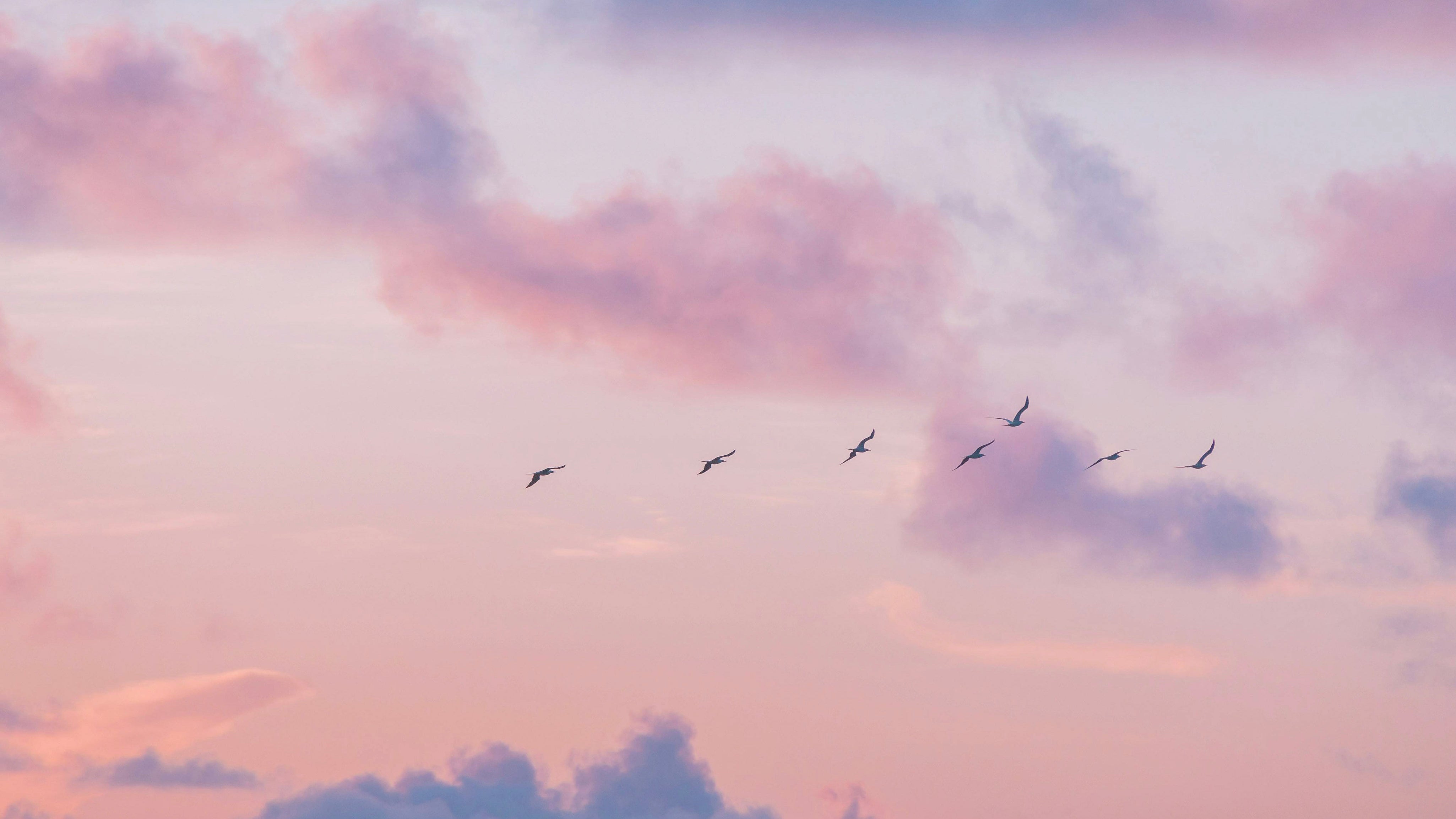 Visualisation positive : apprendre à calmer le mental au quotidien