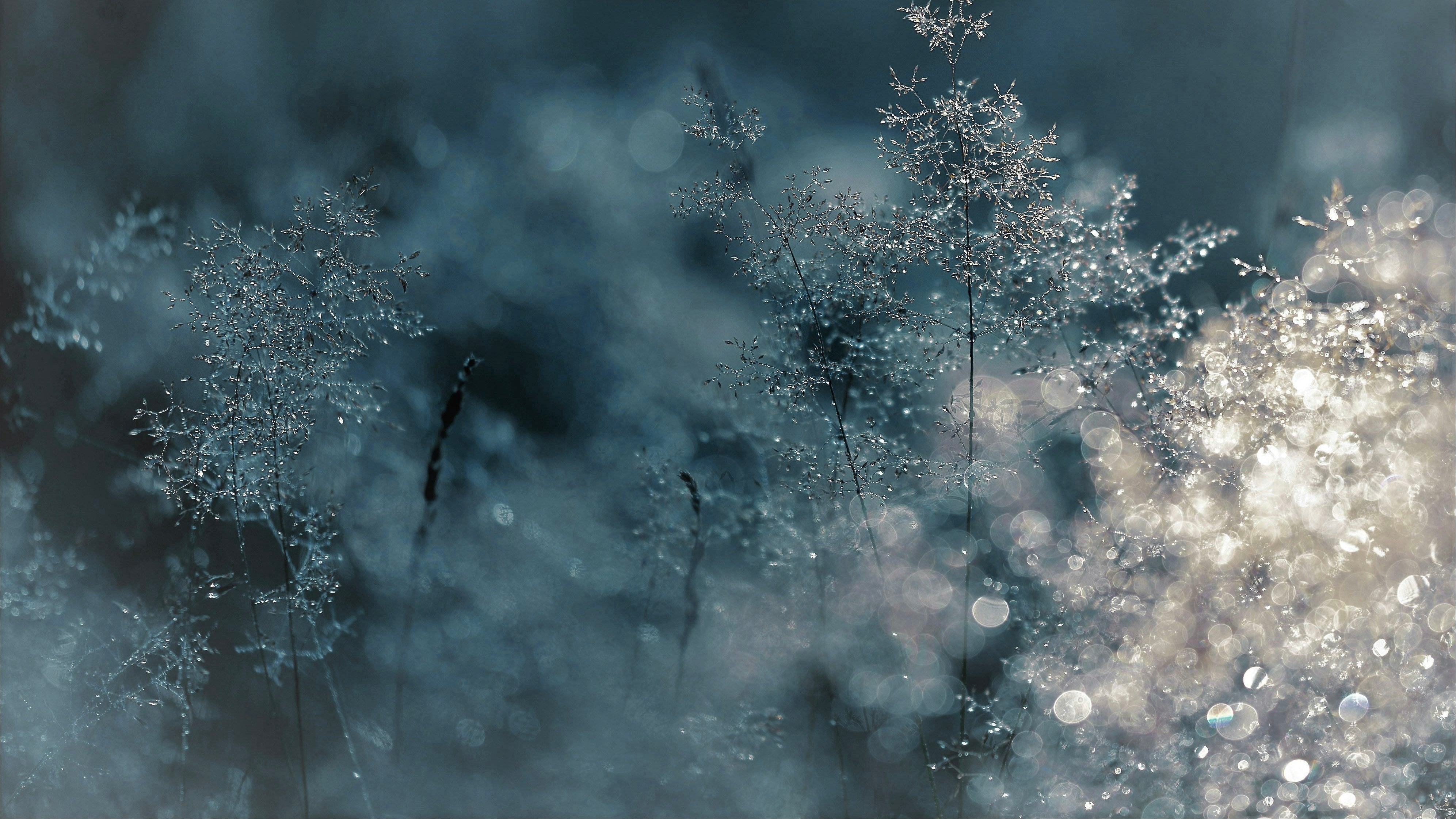 Comment éviter la déprime hivernale ?