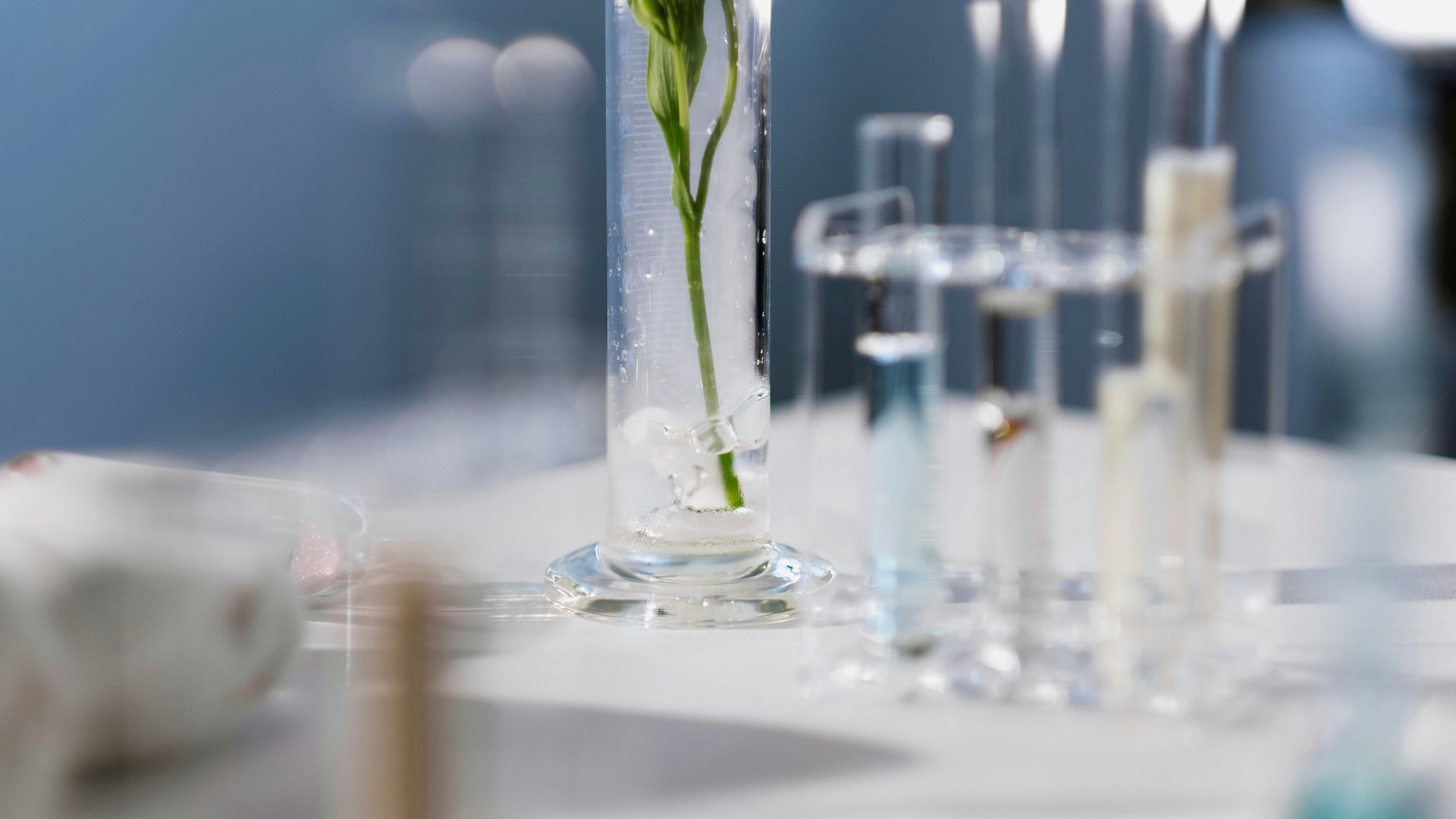 Comprendre le stress pour mieux le réguler - Analyse d’un doctorant en pharmacie