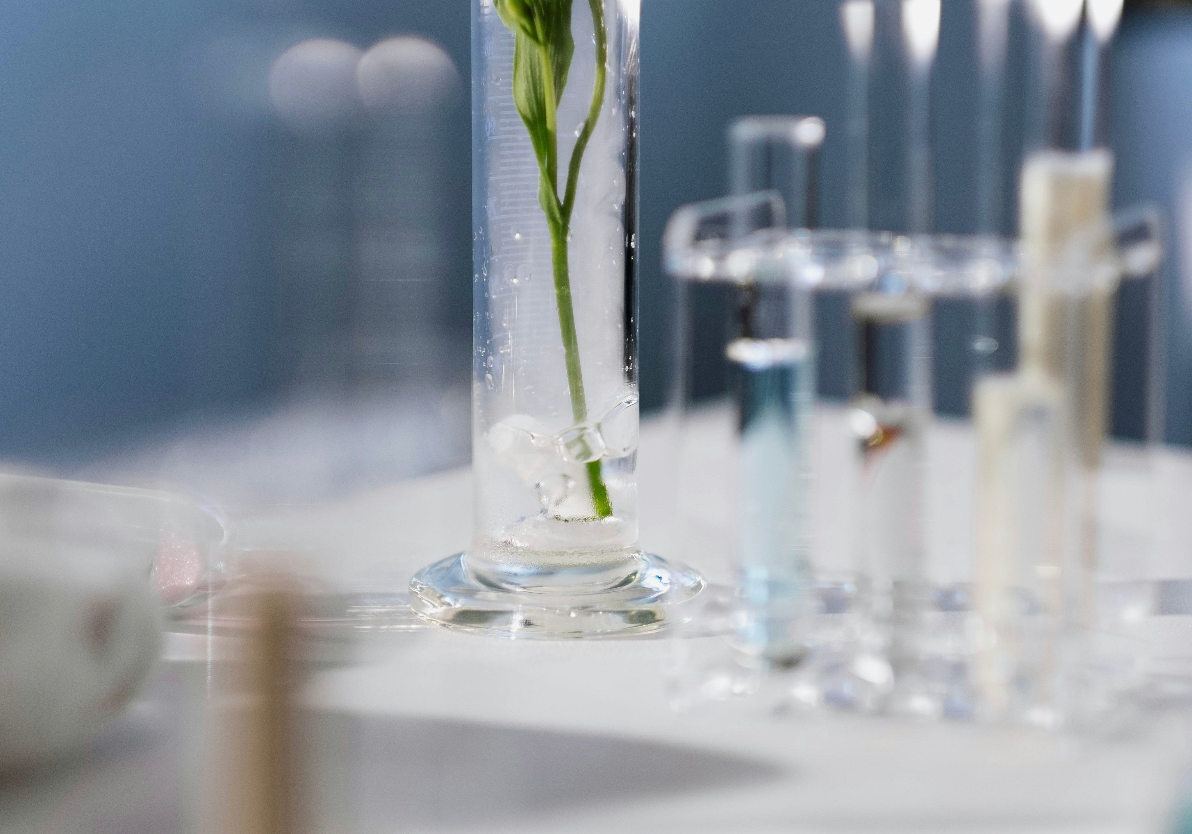 Comprendre le stress pour mieux le réguler - Analyse d’un doctorant en pharmacie