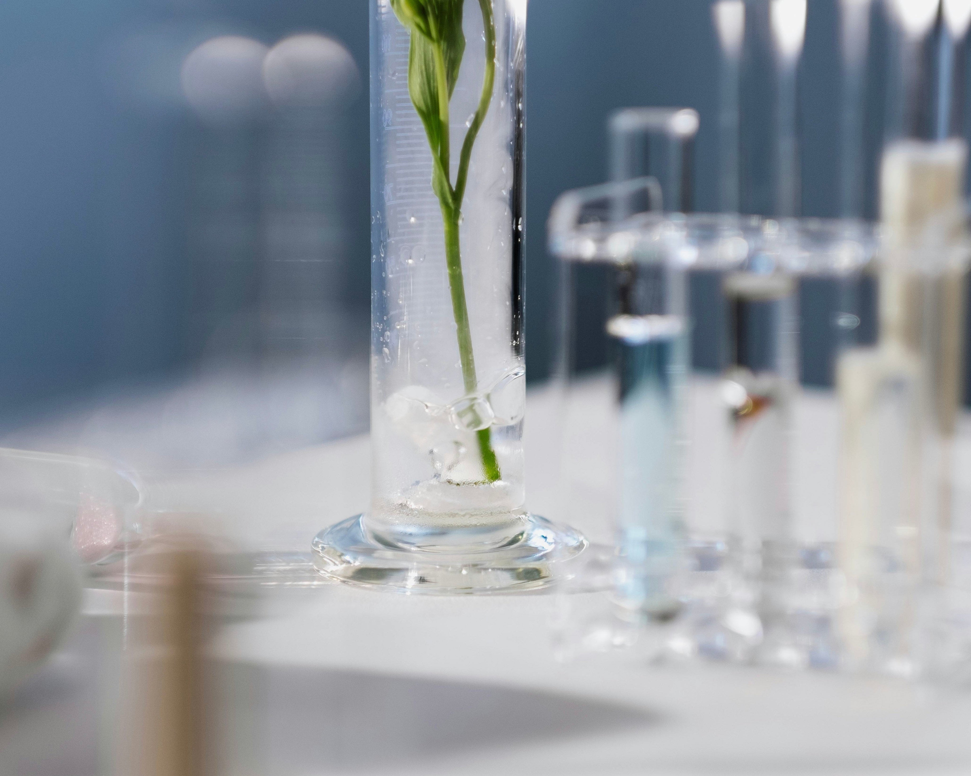 Comprendre le stress pour mieux le réguler - Analyse d’un doctorant en pharmacie